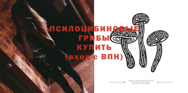 кокс Богородицк