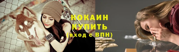 кокс Богородицк
