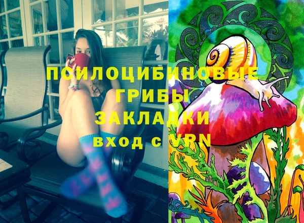 МДПВ Богданович