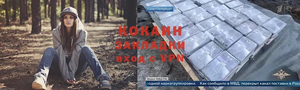 кокс Богородицк
