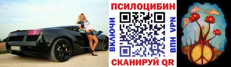 МЕГА ТОР  Валуйки  Псилоцибиновые грибы Magic Shrooms 